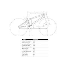 Vélo BMX GT Team Conway 21 Blanc -Accessoires De Vélo velo bmx gt team conway 21 blanc 3